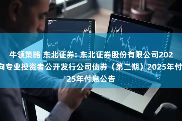 牛领策略 东北证券: 东北证券股份有限公司2024年面向专业投资者公开发行公司债券(第二期)2025年付息公告