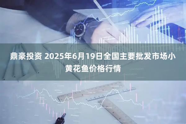 鼎豪投资 2025年6月19日全国主要批发市场小黄花鱼价格行情